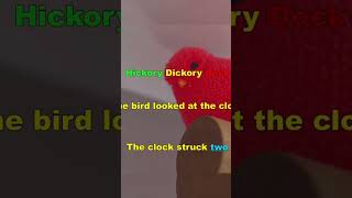 Hickory Dickory Dock - Favourite Nursery Rhymes.