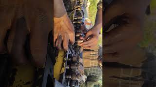 Cummins engine रोकर चिड़िया फिटिंग KT 1150 #engine #model work New #shots #video♥️please #subscribe