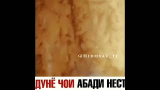 Дунё чои абади нест