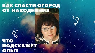 Как спасти огород от сильных дождей. Опыт подскажет