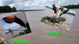 MANCING DI KOTA BANGUN, STRIKE IKAN RAKUS BAUNG HITAM & BAUNG TIKUS | IYAN KUKAR FISHING