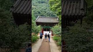 Dewansana Temple (Peaceful place for meditation in south korea)