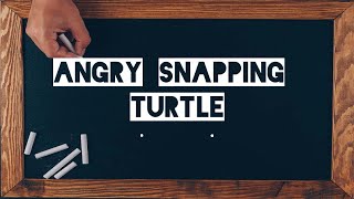 SNAPPING TURTLE GETS ANGRY!!!!