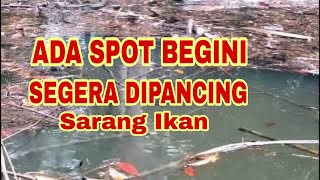 BEGINILAH MANCING DISARANG IKAN