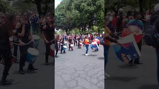 Caminata por la solidaridad por Colombia desfile