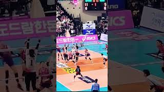 Back Attack From Megatron❤‍🔥#shortsviral #volleyball #shorts #megawati #trending