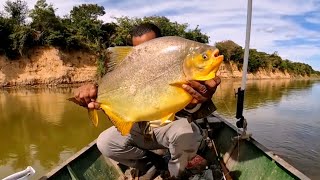 PEIXES QUE QUEBRAM LINHAS E ANZOIS. VENHA PREPARADO PARA O SÃO FRANCISCO