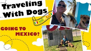 Driving To Mexico With Pets: Your Complete Guide To Legal Travel With Your Pets