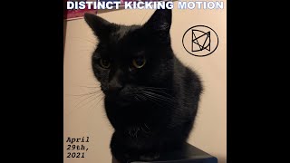 Distinct Kicking Motion - April 29th (Full EP Stream)