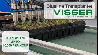 Visser Blueline Transplanter - Little Mountain Greenhouse