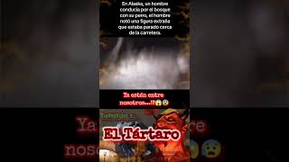 Fantasma o extraterrestre? #paranormal #terrorymisterio #miedo #aterrador #short #terror