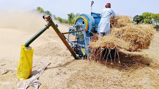 wheat  harvesting By new model tharesher machine in Punjab