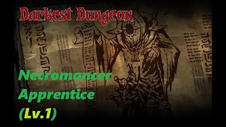 Darkest dungeon: Necromancer apprentice