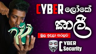 How to install Kali Linux OS on your pc | Sinhala | 2024 | Cyber Security