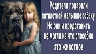 Родители подарили малышке собаку. Но они и представить не могли на что способно это животное