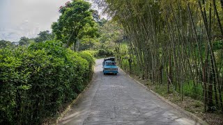 Habitantes de 10 veredas de Támesis son beneficiados por 4 km de placa huella