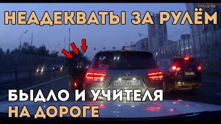 Быдло и Учителя на Дороге|Неадекваты за Рулём#1