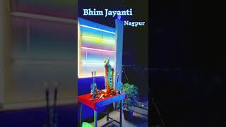 Bhim Jayanti 2k24 Nagpur #bhimjayanti #jaybhim #jaybhimstatus #youtubeshorts #nagpuri