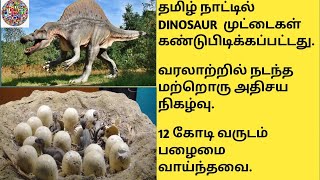 DINOSAUR EGGS  WERE FOUND IN TAMIL NADU.