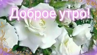 Всего самого лучшего и прекрасного! 💖🧚‍♂️🌺 #МУЗЫКАЛЬНАЯОТКРЫТКА #ДОБРОЕУТРО #пожеланияхорошегодня 🌞