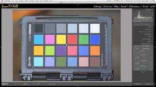 Lightroom Camera Calibration Settings