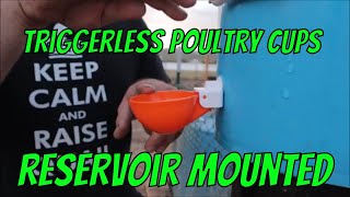 No Leak Poultry Water Cups