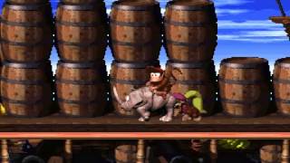 Donkey Kong Country 2 (Perfect Run): World 1, Level 1