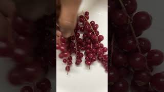 Redcurrant #shorts#shortsvideo#shortstrending#farming#healthyeating