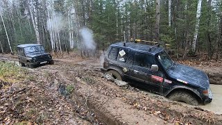 Поездка на ШУНУТ за корягами для аквариума.