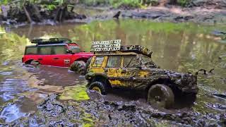 RC MUDDING / TRAXXAS TRX4M & FMS FCX24 / #rc #rccars #mud