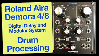 Roland Aira Demora - Digital Delay - Sound Demo - Drum Processing