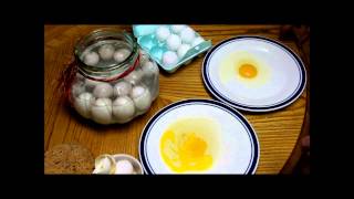 Preserving Eggs in Sodium Silicate Water Glass) 10 Months Later