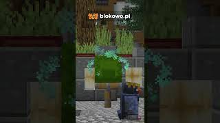 Czapki W MINECRAFT!  #minecraft #lifesteal #memes #viralvideo #mc #minecrafttipsandtricks