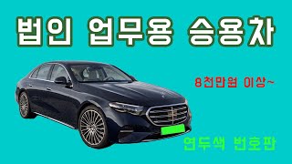 법인 업무용 승용차 전용번호판 도입(연녹색 번호판) : 이원정 회계사