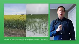 Eric Boswell - Hail and its Devastating Effects on Agriculture: An Alberta Perspective