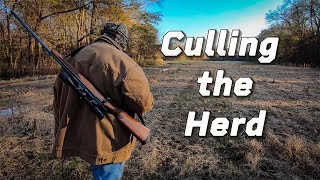 Culling The Herd | A Deer Hunt with Dale Pillow | Produced by Richard Beattie