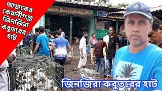 আজকের কেরানীগঞ্জ জিনজিরা কবুতরের হাট | Keraniganj jinjira pigeon hat | কম দামে কবুতর কিনুন | jinjira