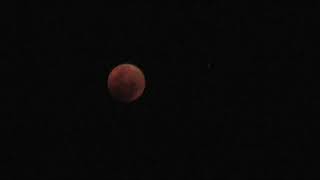 Red Lunar Eclipse A Bad Moon Arising