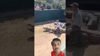 A Crocodile Attacked A Man🙆‍♂️😮 #crocodile #animals #alligator #magarmach #shortsvideo #viralvideo