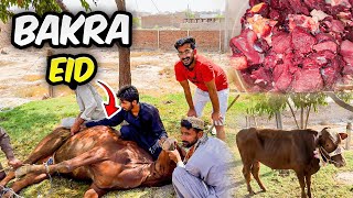 Cow Ke Qurbani 🐮 | Eid Special Vlog | Eid ul Aadha Day 1