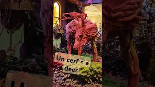 DANS SA MAISON, UN GRAND CERF REGARDAIT PAR LA FENÊTRE... #comptinespourenfants  #français #cerfs