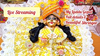 My Laddu Gopal Full Details।6 no. Ashtadhatu Laddu gopal। Vrindavan se Laddu gopal shopping।