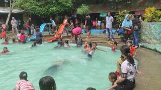 Kolam Cendol#shorts #bandarjaya