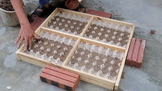 Project Reuse For Garden Decoration - Design a Unique Pot With Egg Tray And Sand