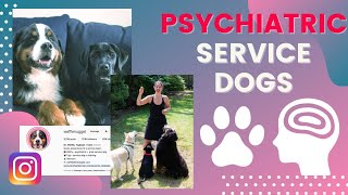 psychiatric service dogs | KATE SPEER