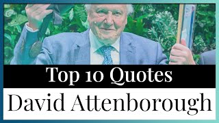 Top 10 Quotes David Attenborough | Natural Historian