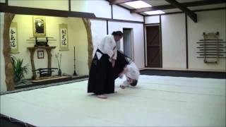 Yokomen Uchi Ude Kime Nage