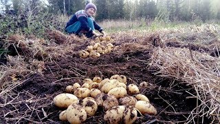 Syyskuun sadonkorjuuta