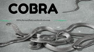 Cobra Instrumental