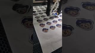 Automated Logo  Laser Cutting Machine (jhx Laser)